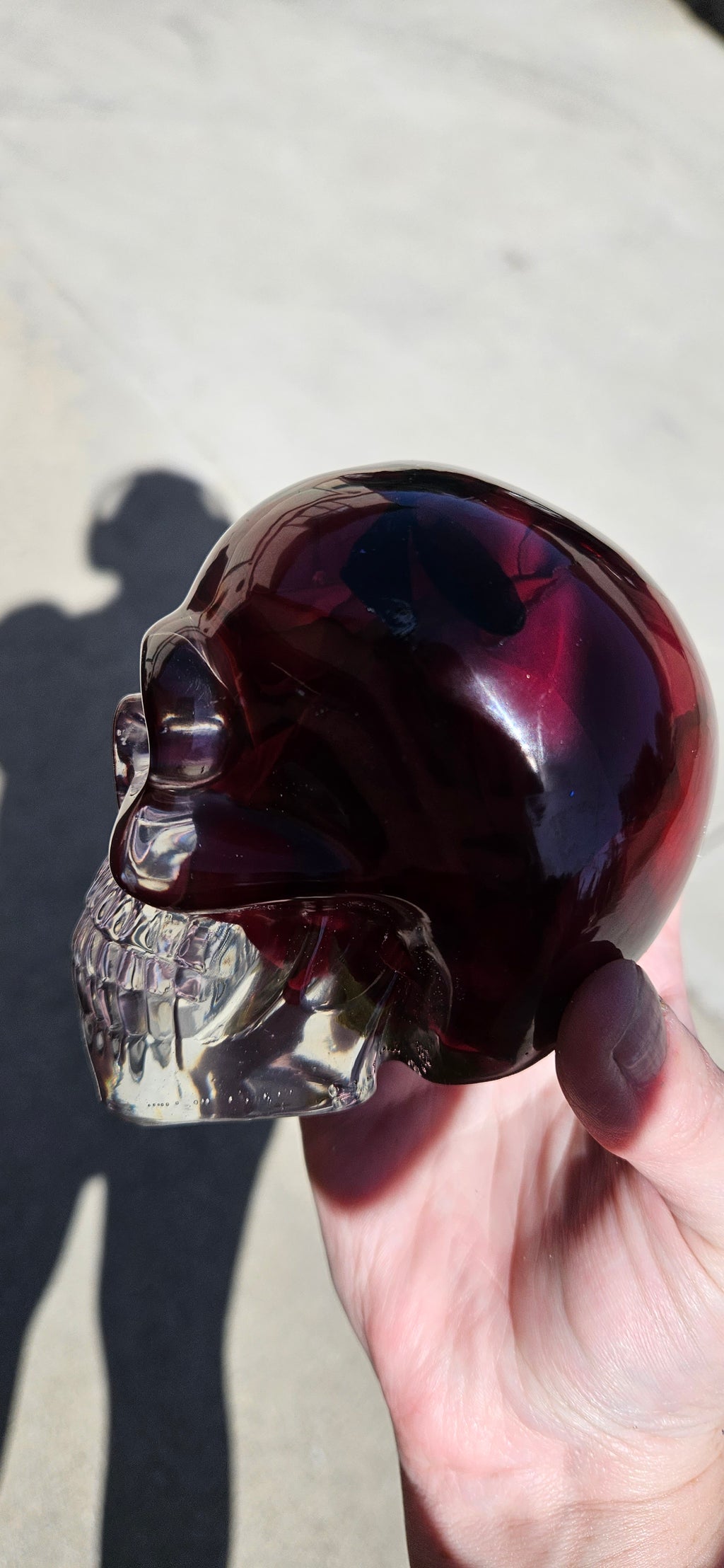 Dragonfly Rose Skull