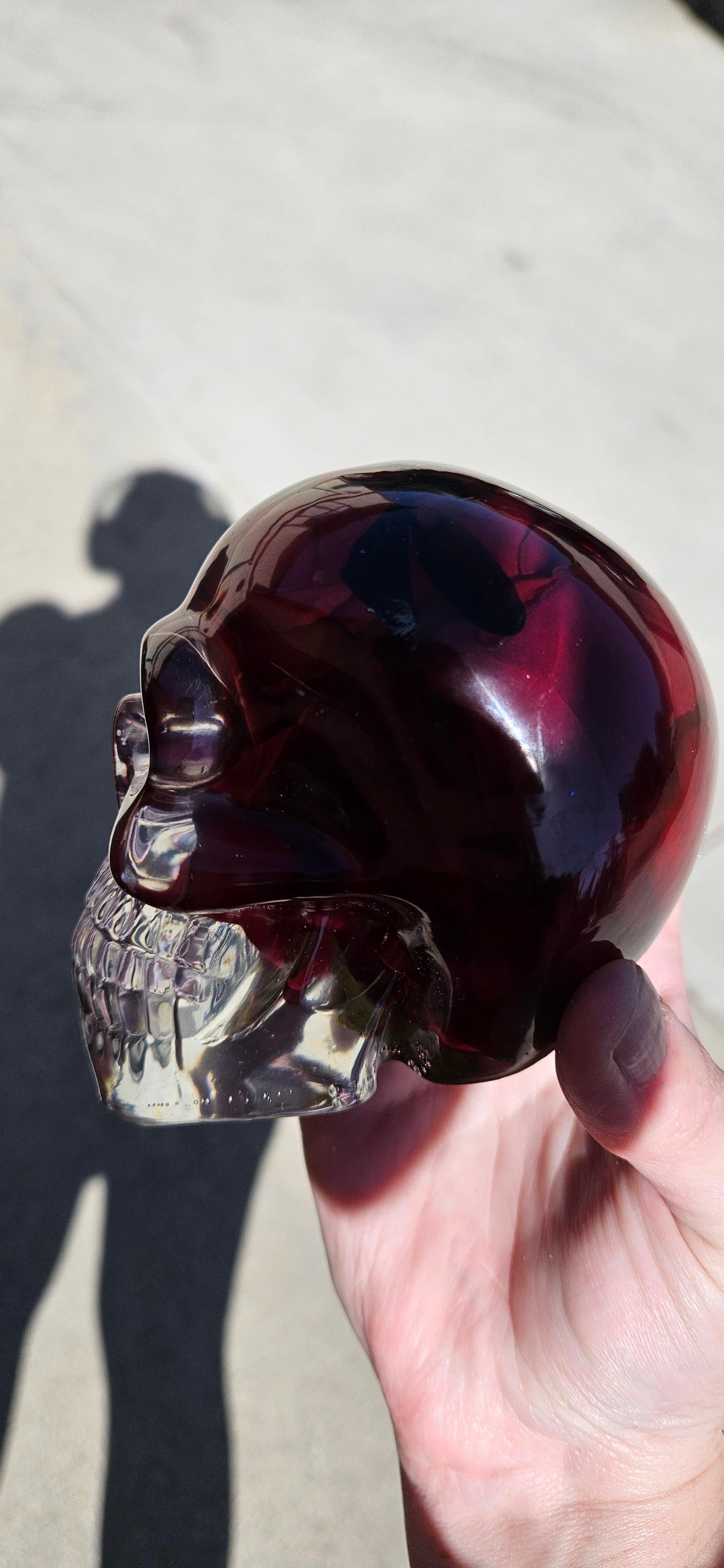 Dragonfly Rose Skull