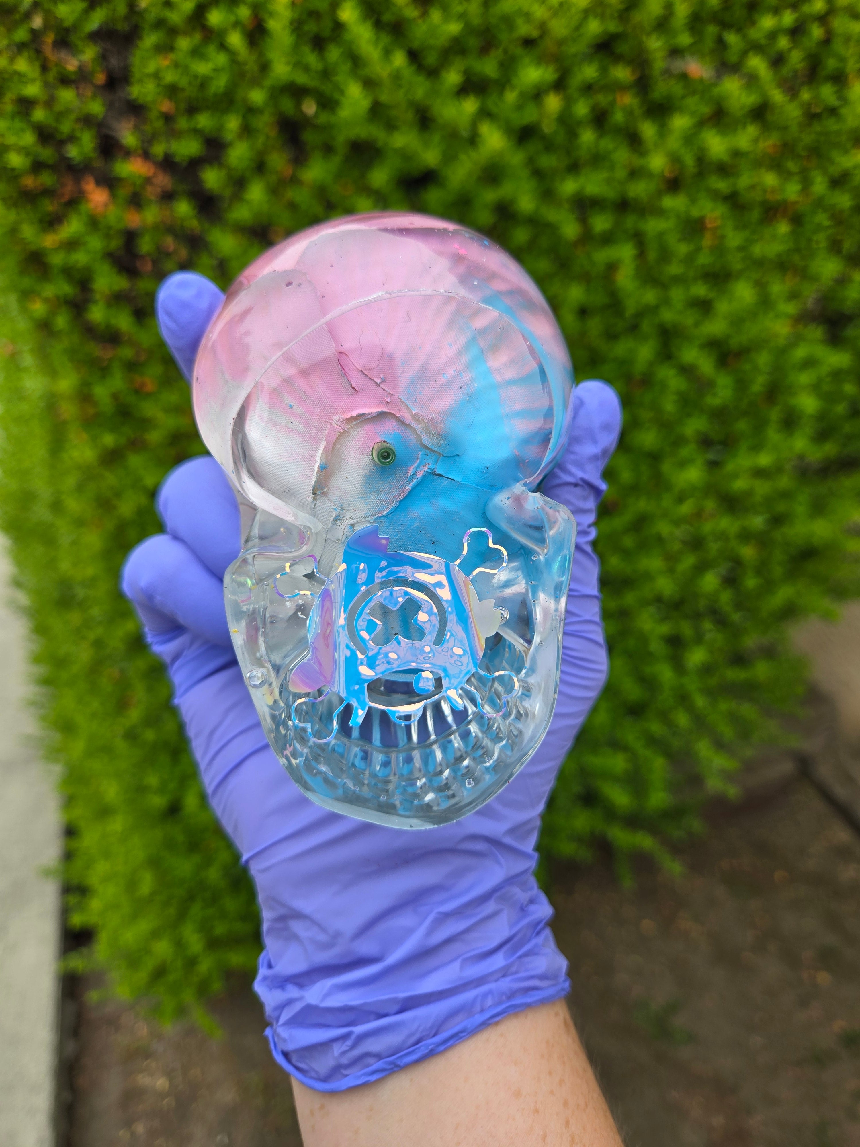 Doctor of the Strawhat