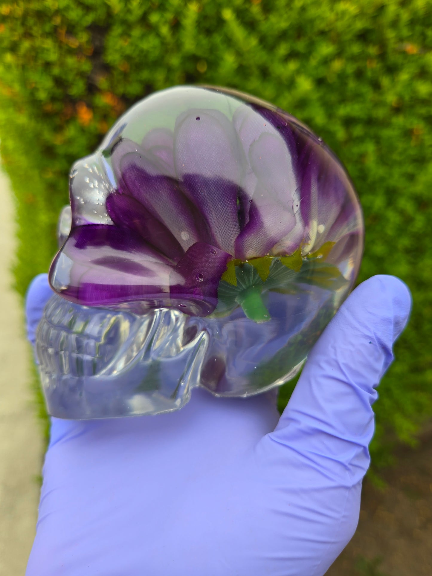 Daisy Rose Skull