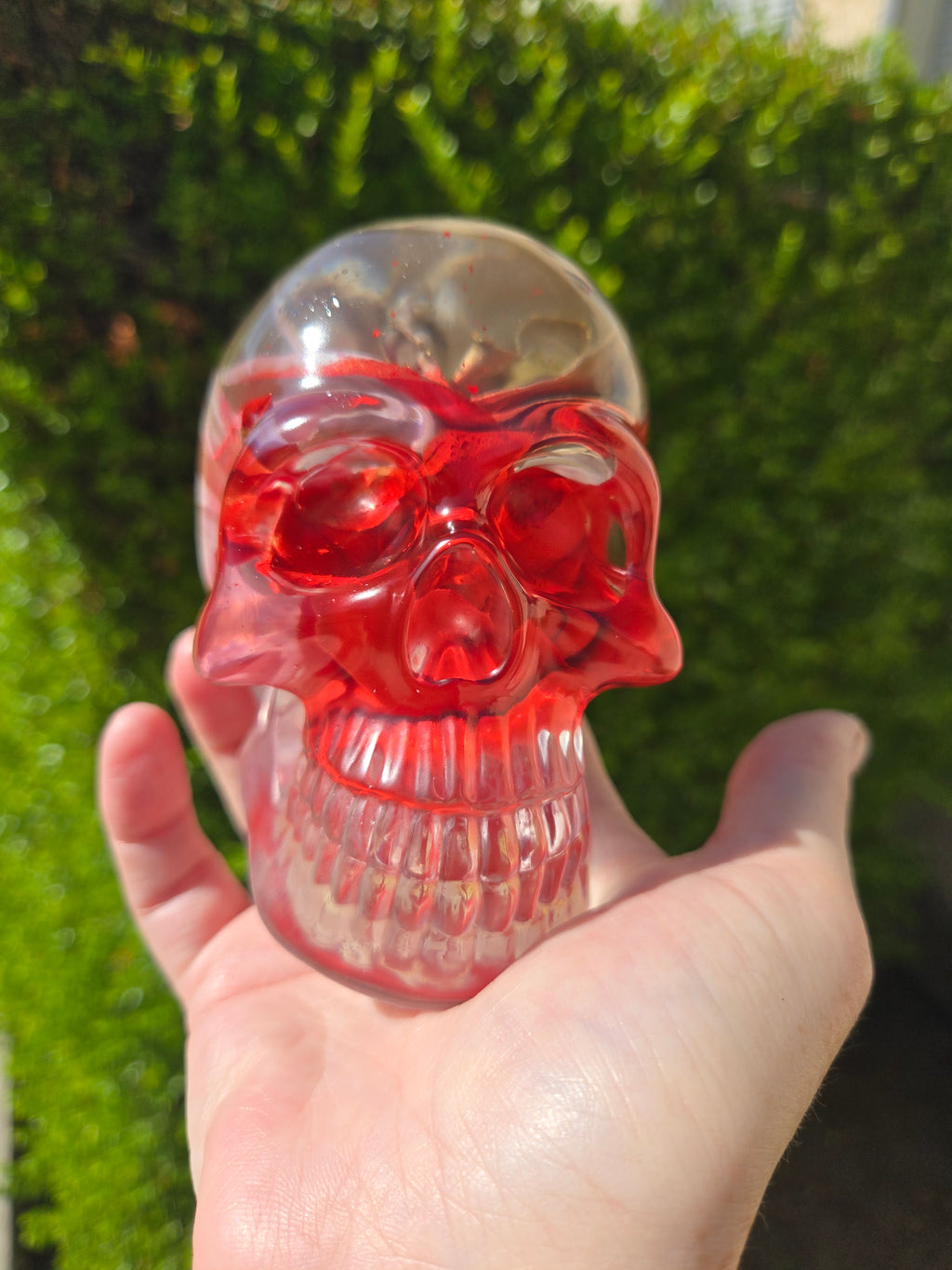 Knight of Beauty Rose Skull