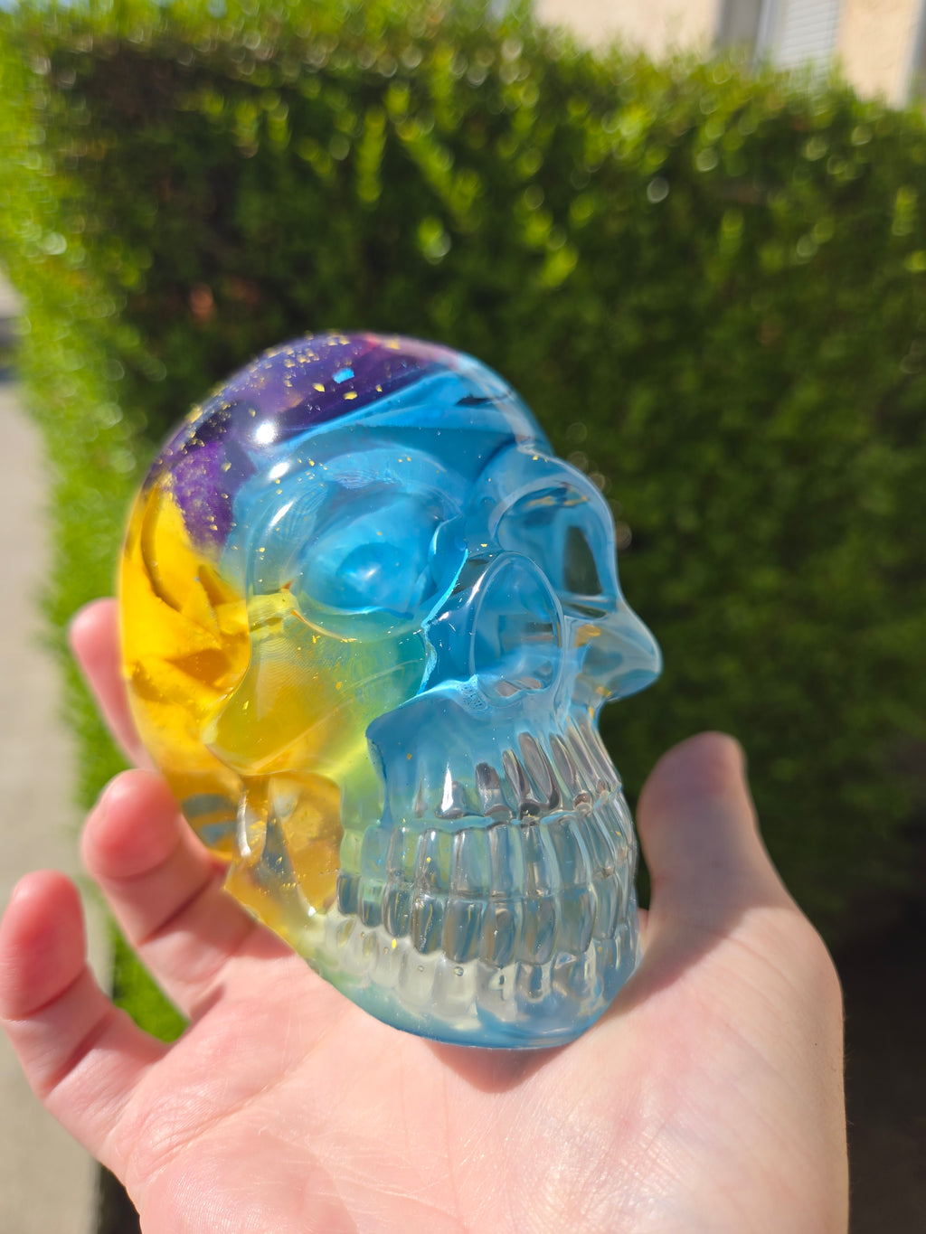 First Son of the Sea Rose Skull