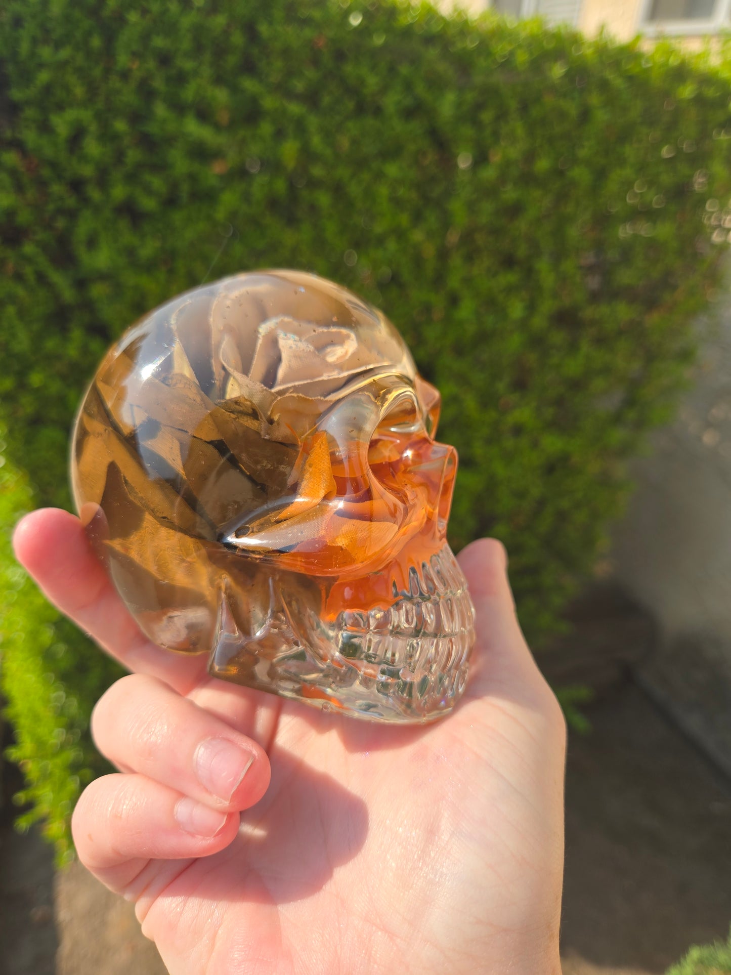 Hook Rose Skull