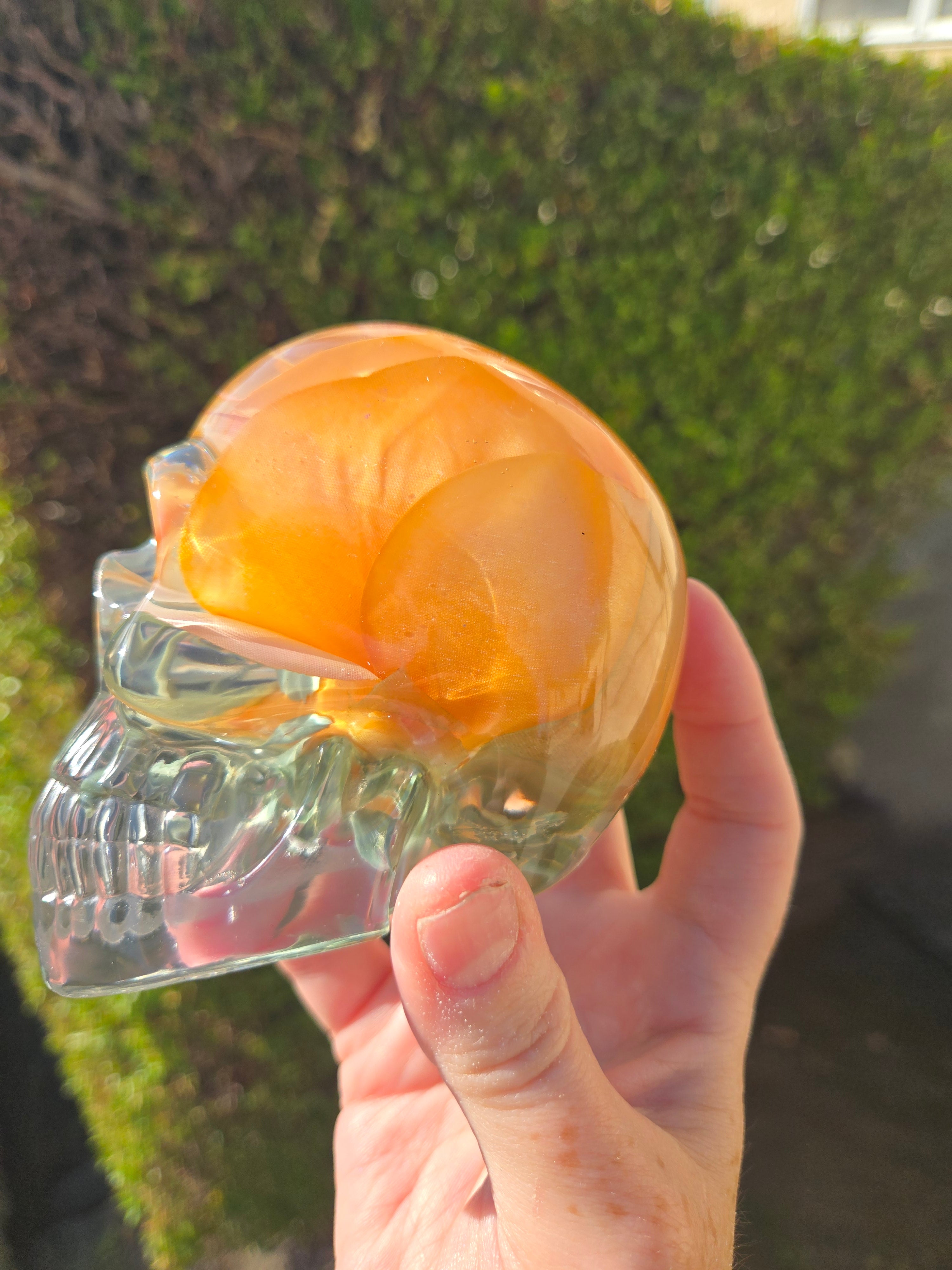 Yellow Orange Rose Skull