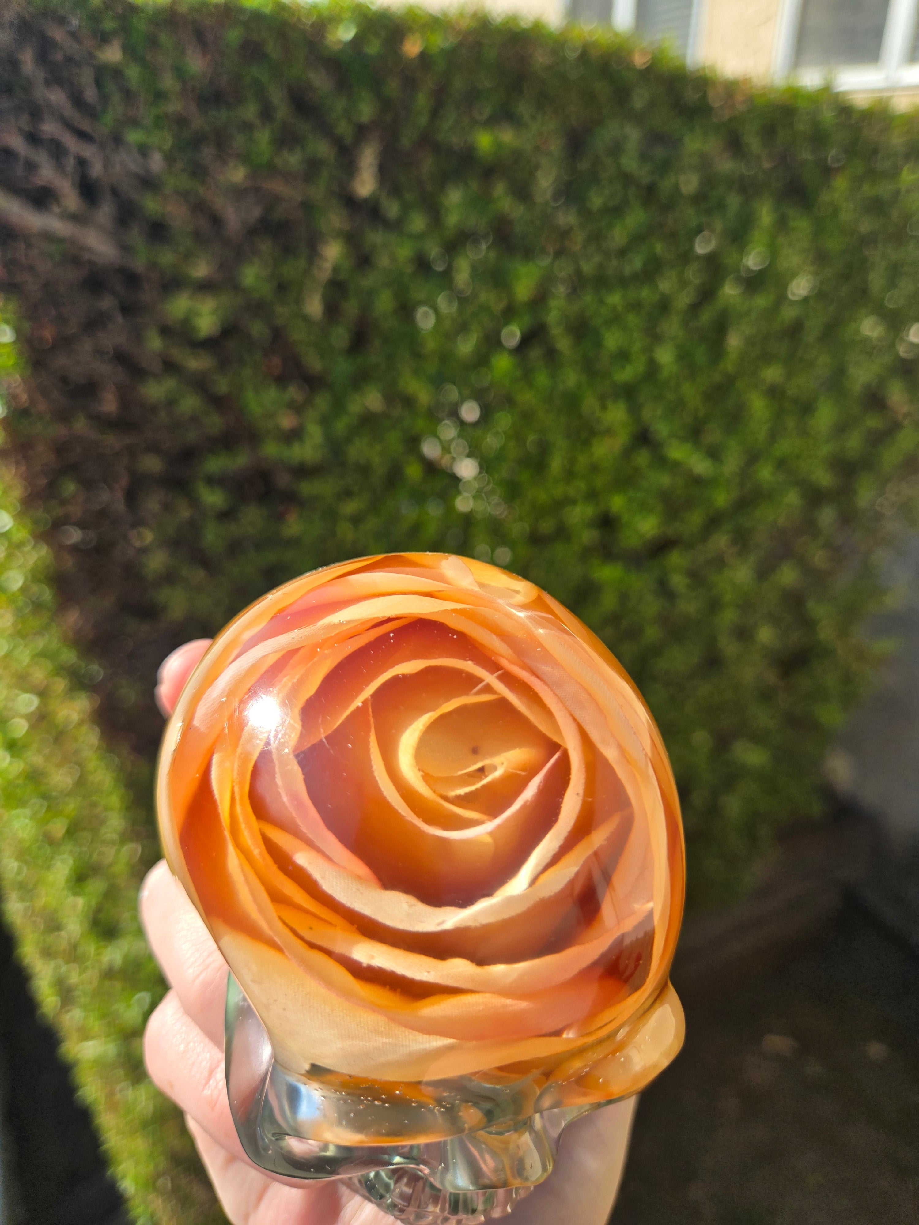 Yellow Orange Rose Skull