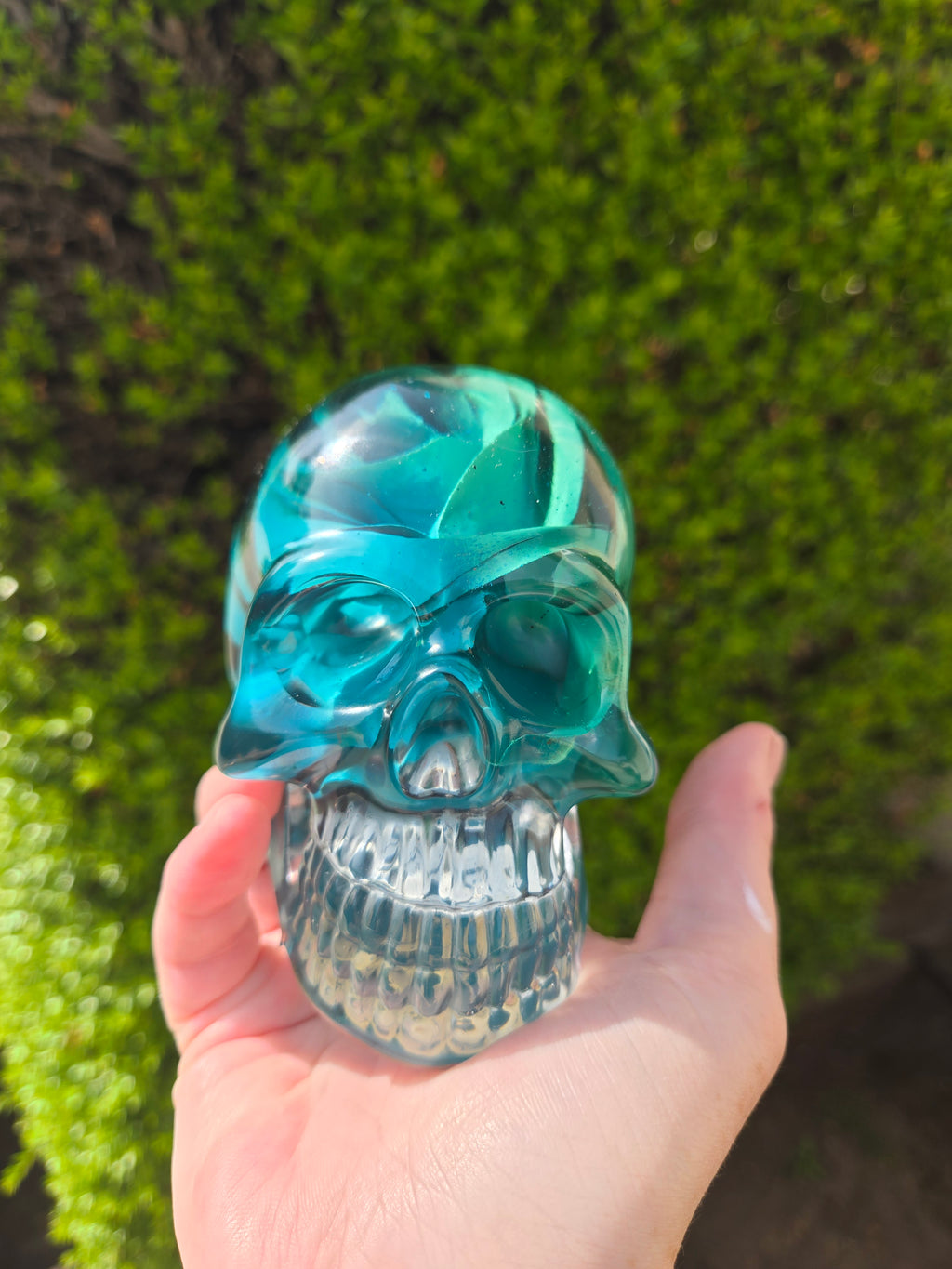 Lynette Rose Skull