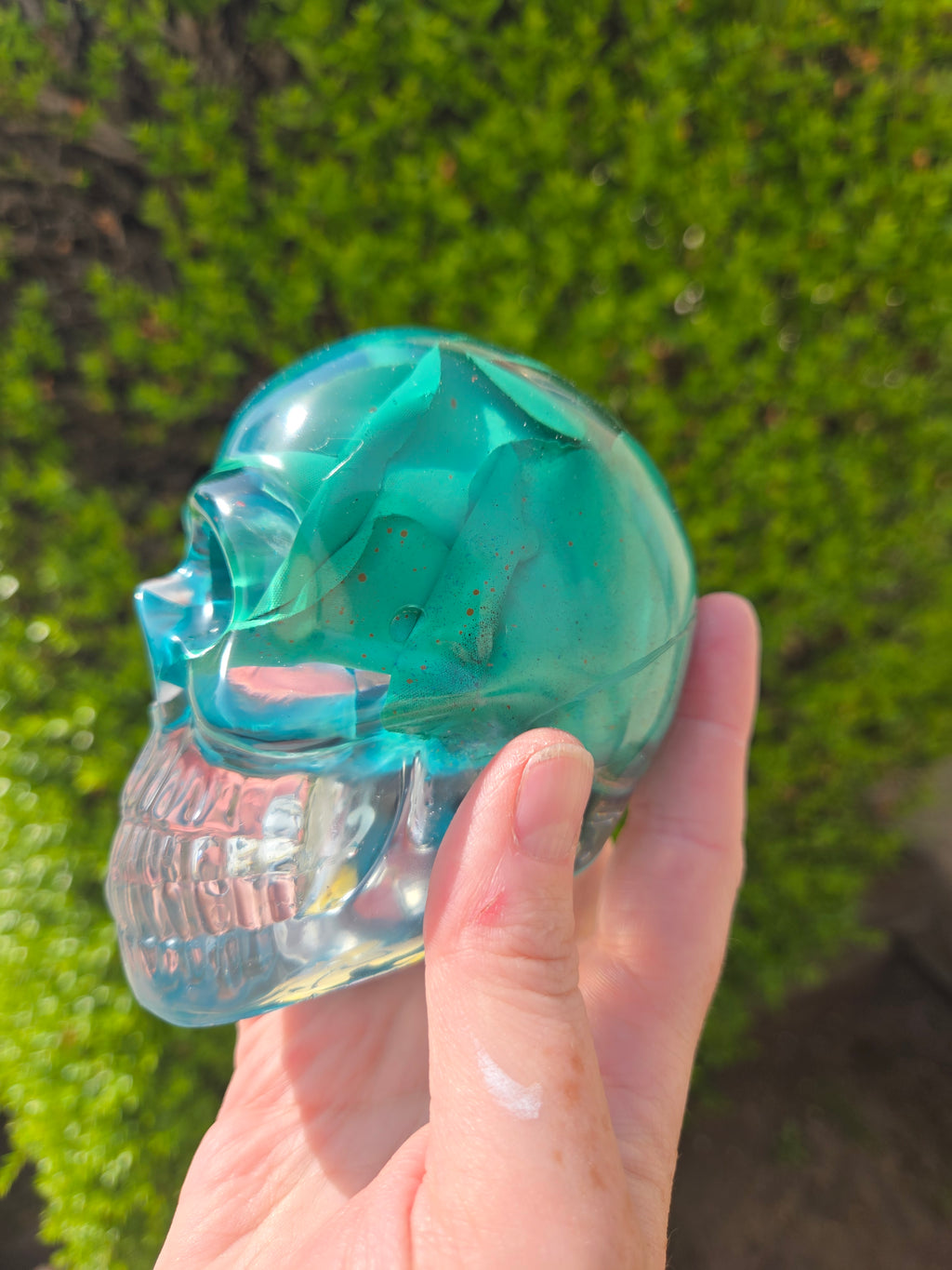 Lynette Rose Skull