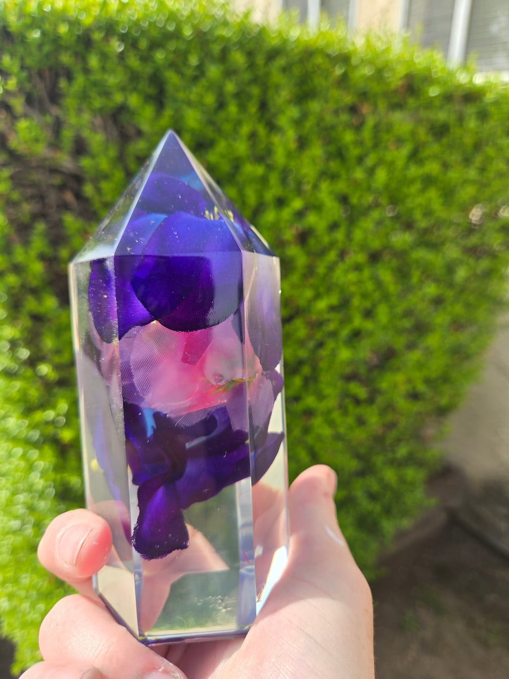 Orchids with Cherry Crystal