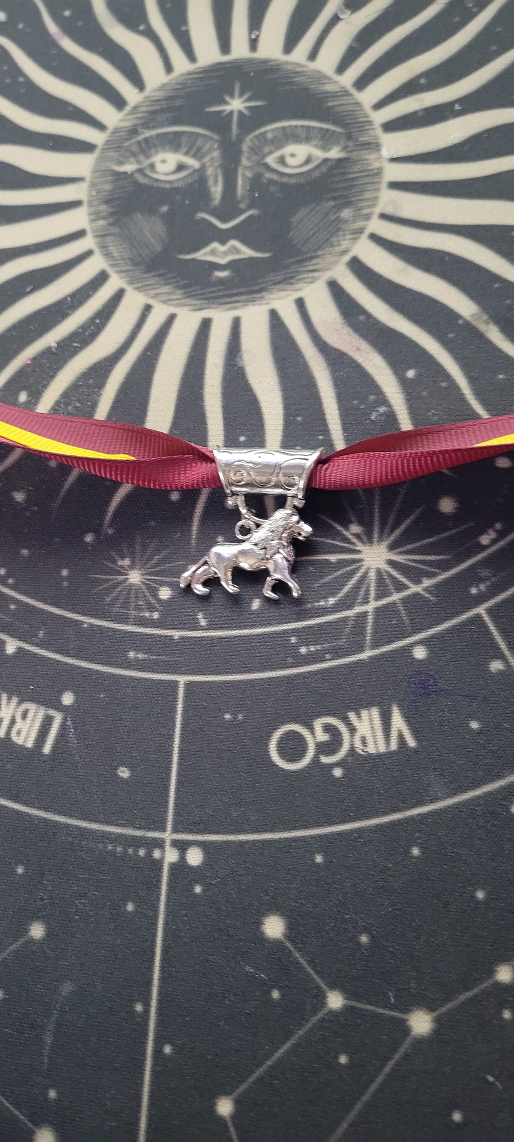 Which House Will You Be Sorted?