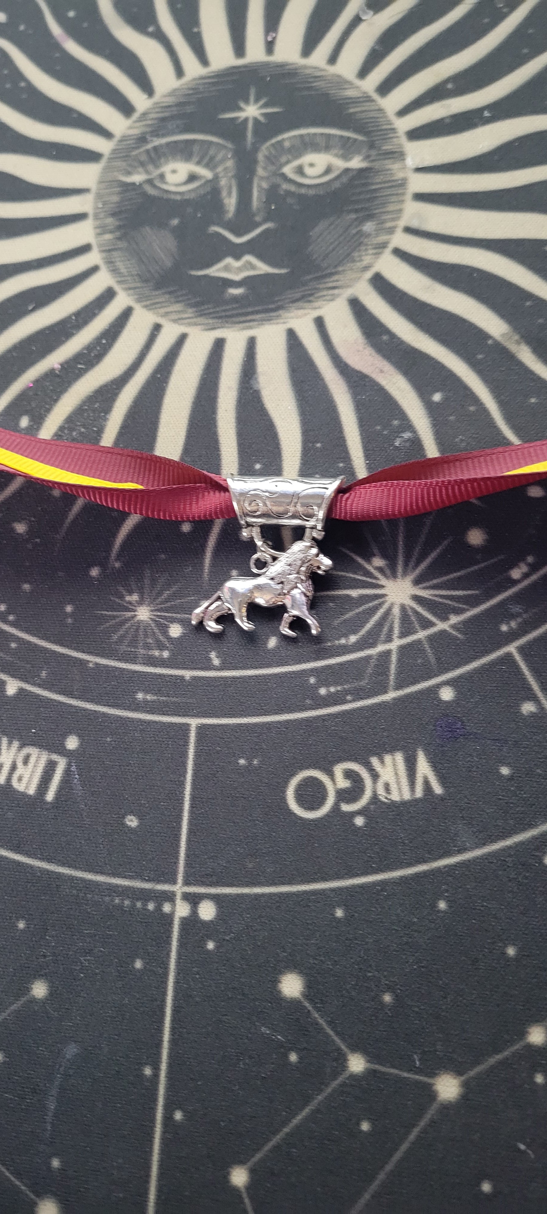 Which House Will You Be Sorted?