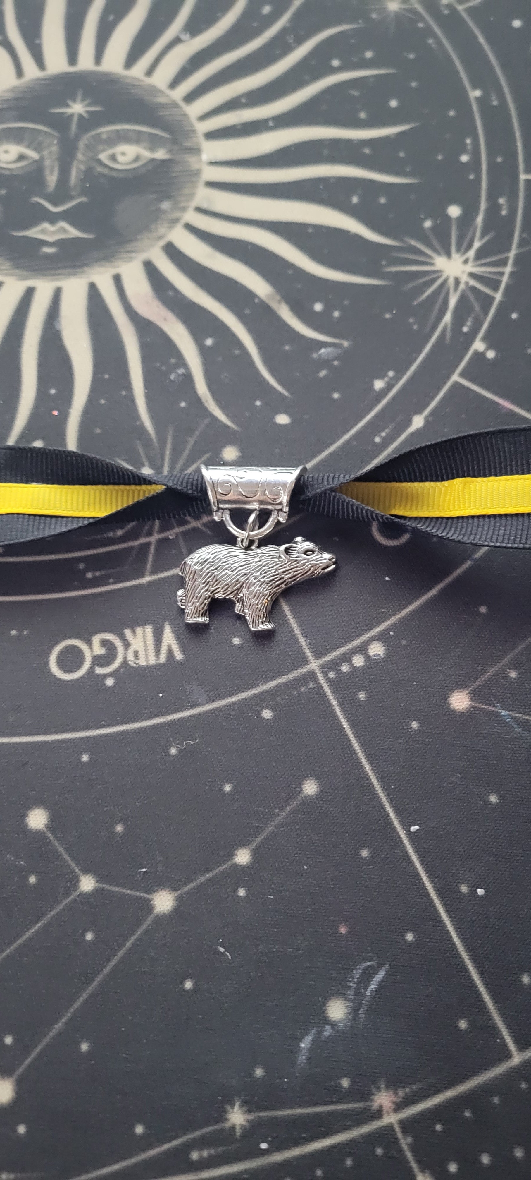 Which House Will You Be Sorted?