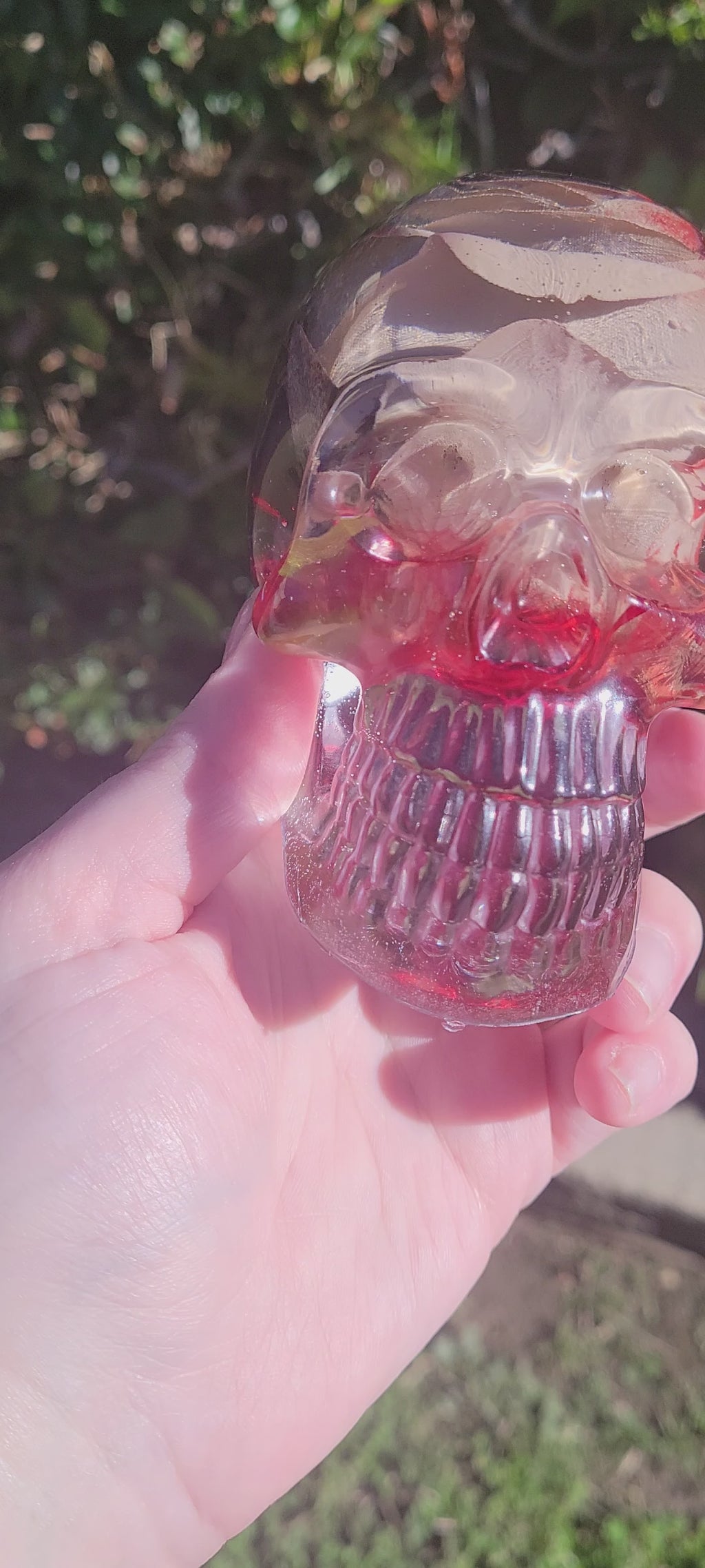 Hawks Rose Skull